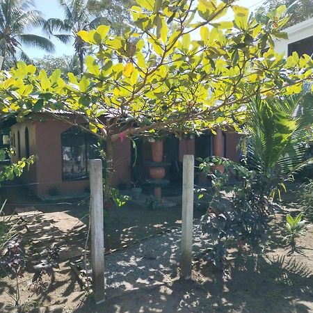 Micheck Beach House Tortuguero Eksteriør billede