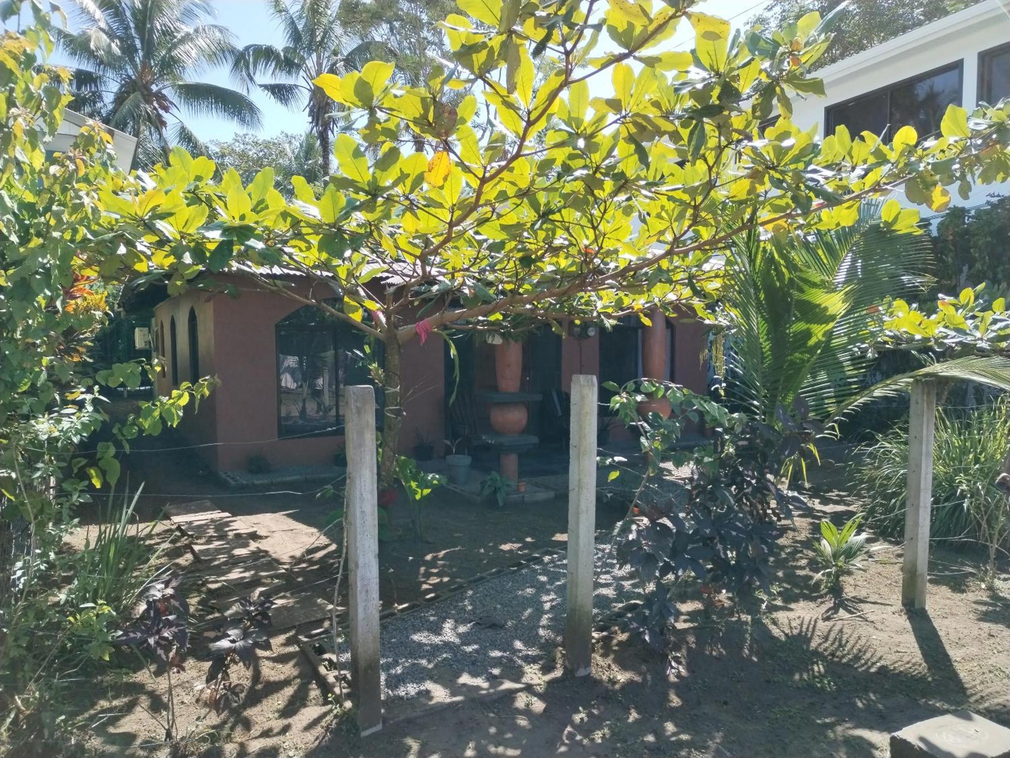 Micheck Beach House Tortuguero Eksteriør billede