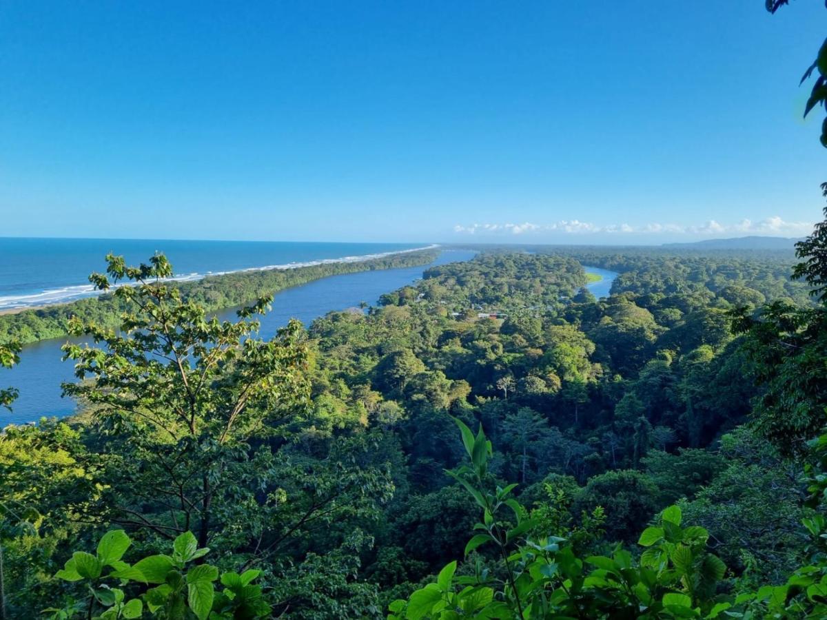 Micheck Beach House Tortuguero Eksteriør billede